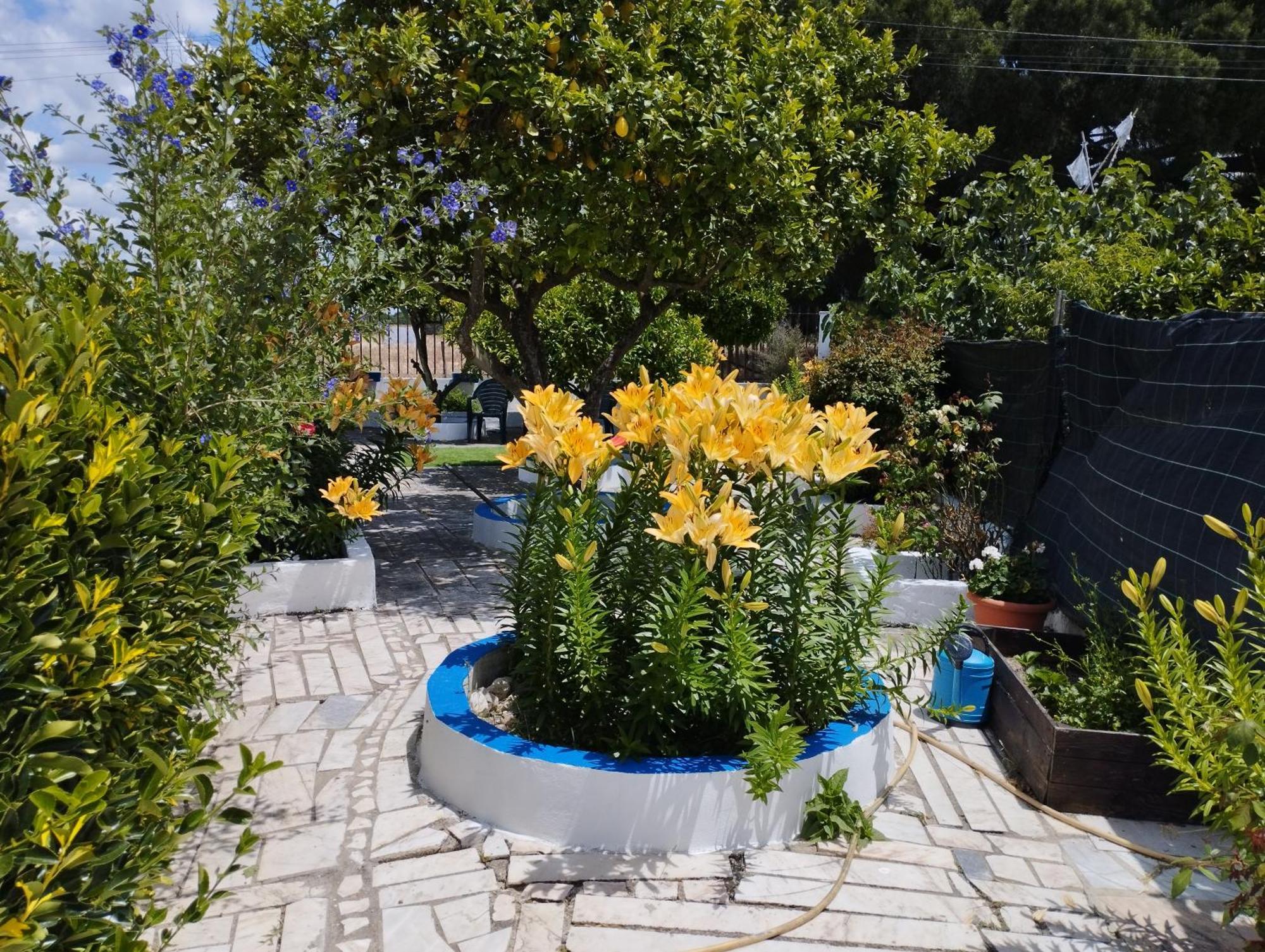 Monte Sol Nascente Villa Grandola Bagian luar foto